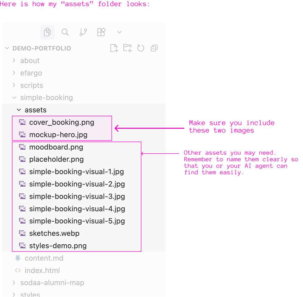 Assets folder structure